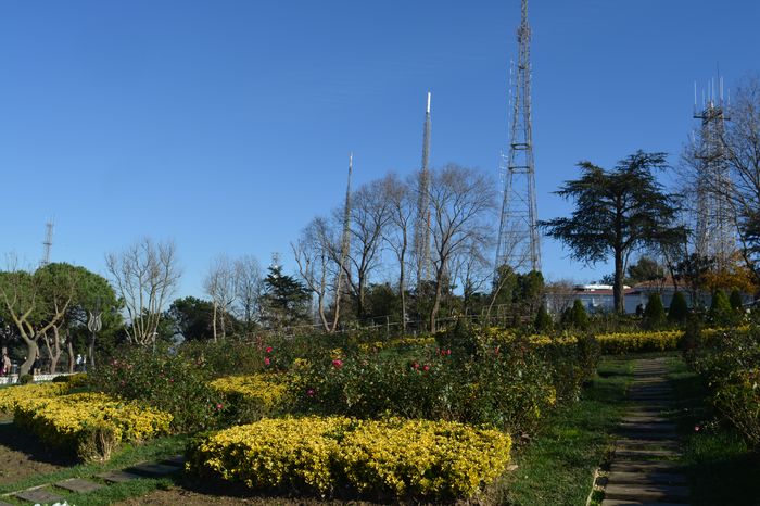 The Emperor more subtle and more clever