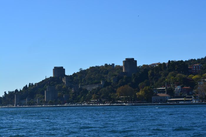 image-.jpg