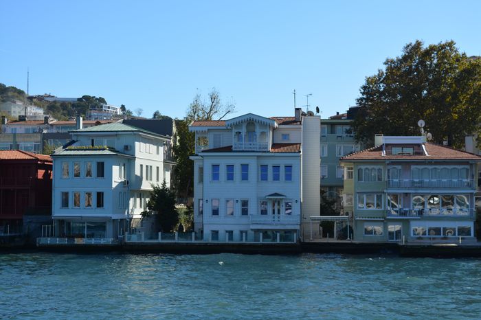 image-.jpg